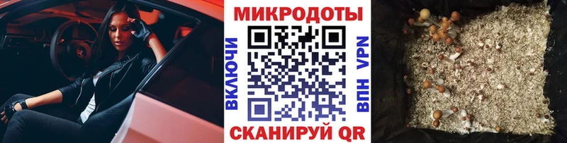 Псилоцибиновые грибы Magic Shrooms  MEGA зеркало  Талица 